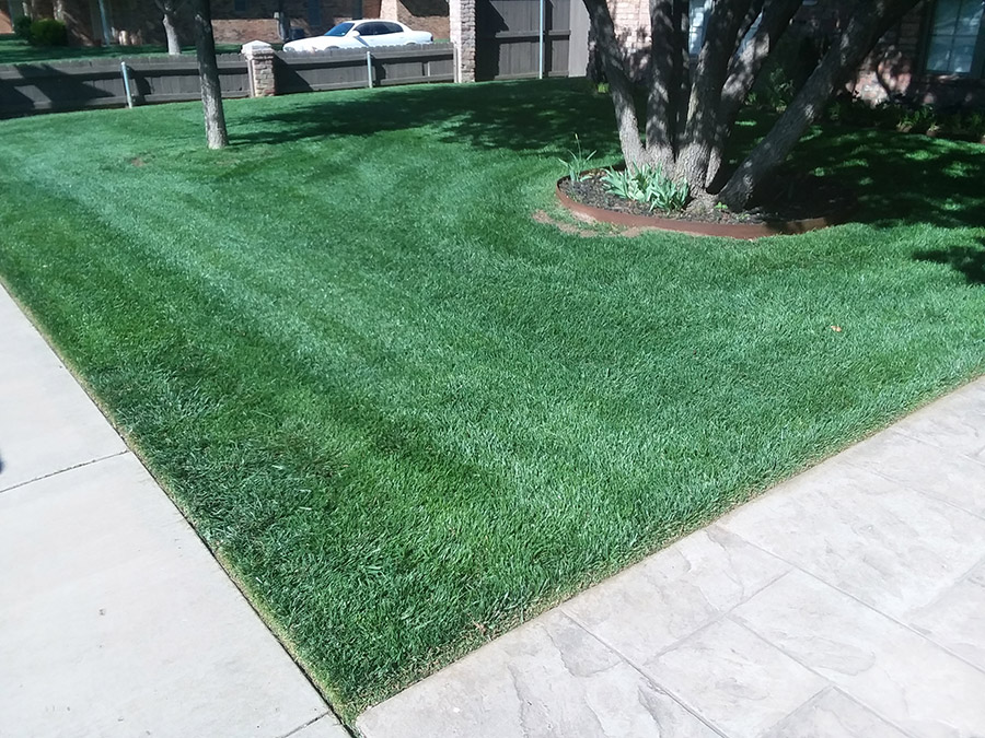 Amarillo Lawn & Tree Care Service