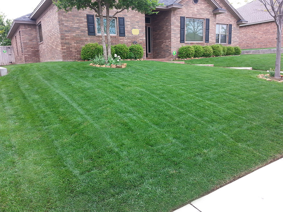 Amarillo Lawn & Tree Care Service