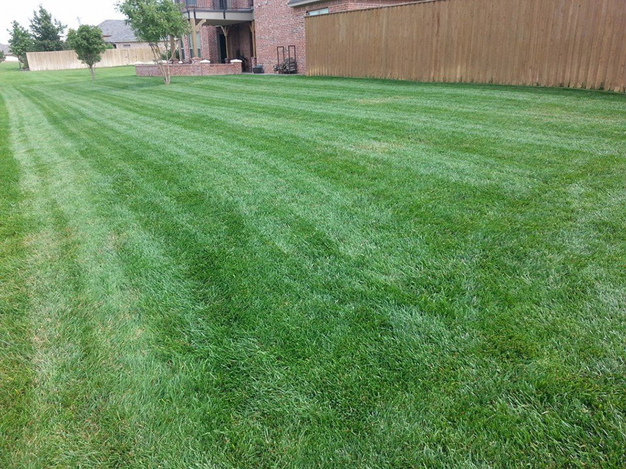 Amarillo Lawn & Tree Care Service