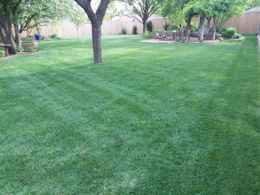 Amarillo Lawn & Tree Care Service