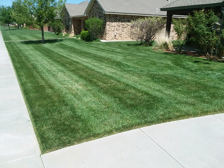 Amarillo Lawn & Tree Care Service