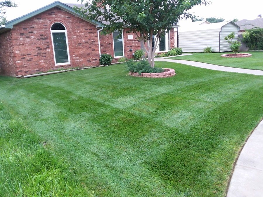 Amarillo Lawn & Tree Care Service