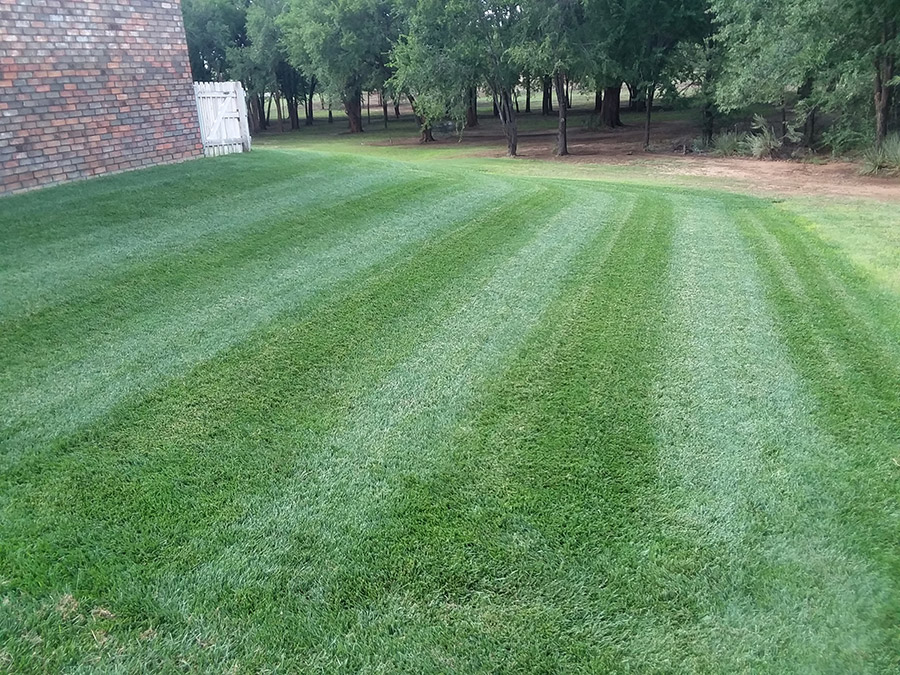 Amarillo Lawn & Tree Care Service