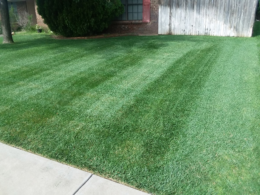 Amarillo Lawn & Tree Care Service