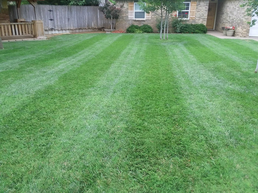 Amarillo Lawn & Tree Care Service